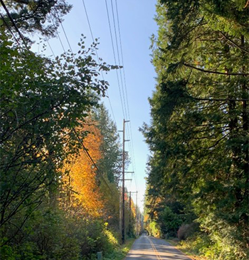 Existing 115kV lines on Bainbridge Island; not representations of future lines