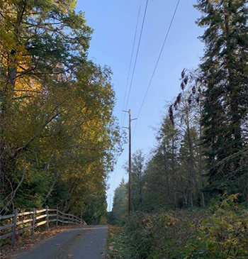 Existing 115kV lines on Bainbridge Island; not representations of future lines